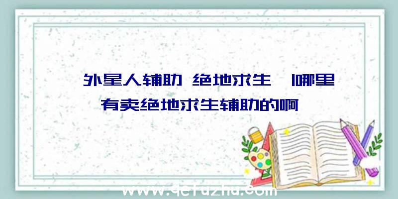 「外星人辅助
